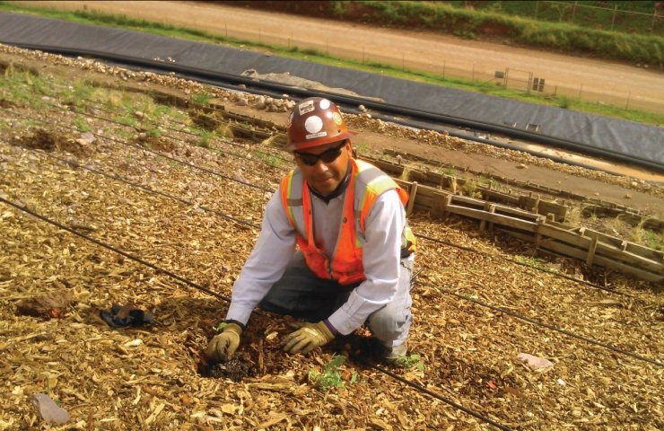 Mining companies in Mexico to reforestation