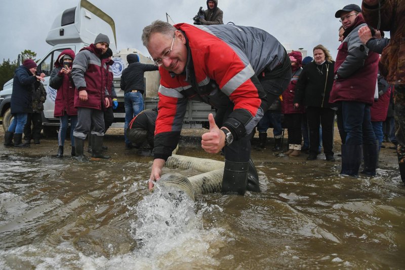 СУМЗ випустив десять тисяч товстолобиків в Новомаріінское водосховище