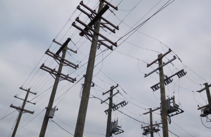 Foundation devices for power transmission line supports