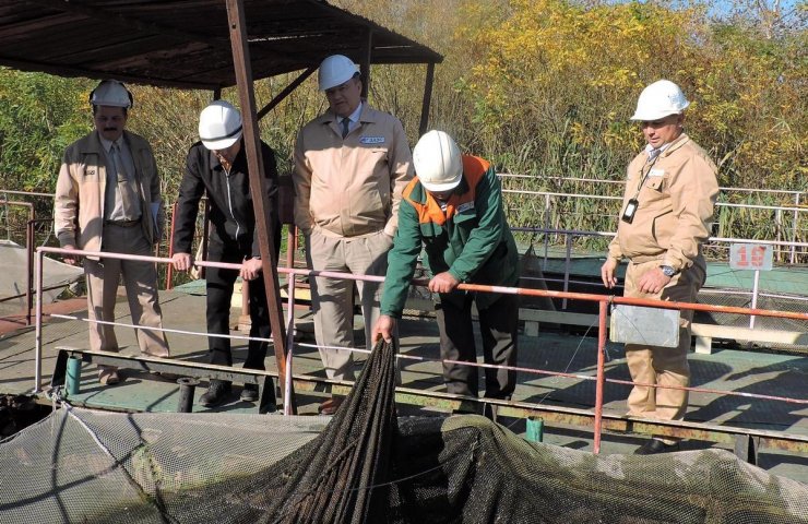 Специалисты Запорожской АЭС спасают свои охладители от амазонских ракушек