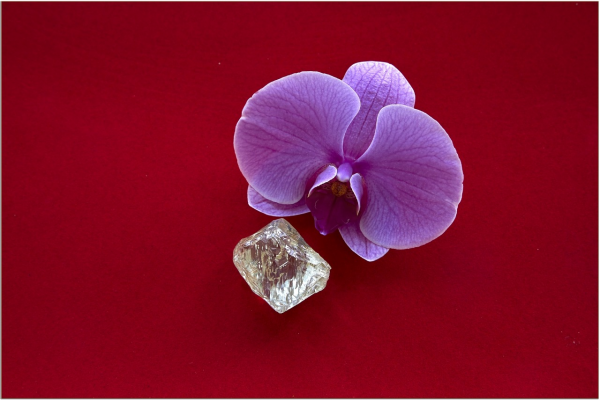 АЛРОСА добыла алмаз весом 230 карат – самый крупный за последние годы