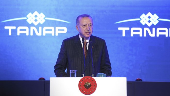 Президент Турции заявил о запуске транзита газа по Турецкому потоку 8 января