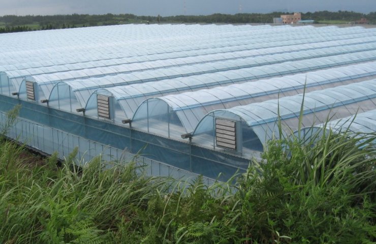 Design and construction of industrial greenhouses
