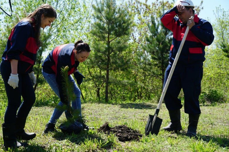 UK "Kuzbassrazrezugol" was successfully launched in the ranking of the most open companies in Russia in the sphere of ecology