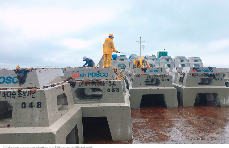 POSCO создает искусственные рифы из металлургического шлака в Японском море