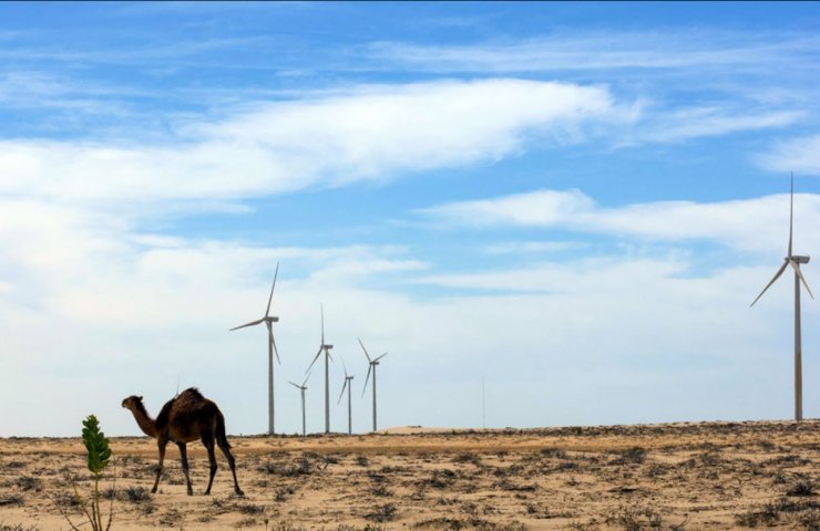 В ООН закликали не скорочувати інвестиції в «зелену» енергетику через пандемію