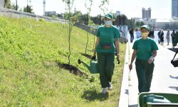 «УГМК Забудовник» спільно з «Green Park» почали преображення набережній Єкатеринбурга