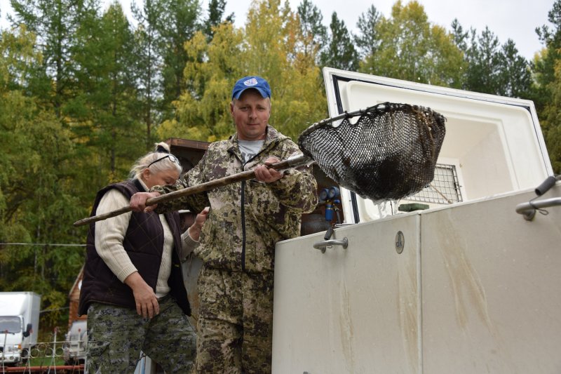 "Svyatogor" released carp fry into Lake Svetloye