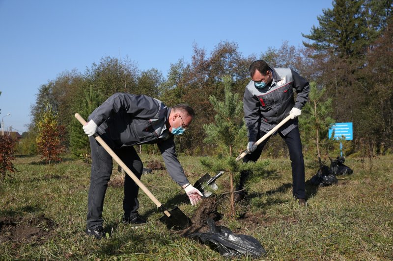 SUMZ held a charity event for planting trees in a specially protected natural area Kabalinskie springs in Revda