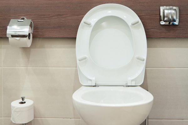 The best prices for toilet seat covers from plastic-shop.in.ua