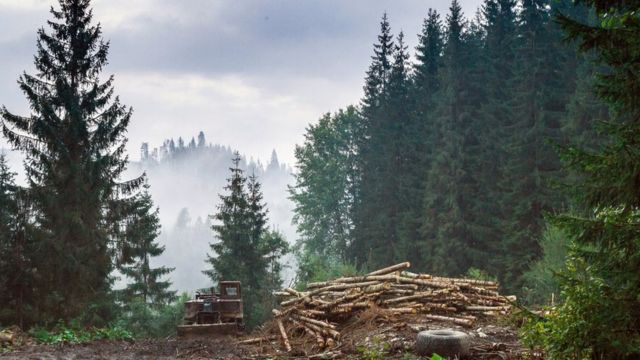За незаконним видобутком копалин і вирубкою лісу в Україні будуть стежити з космосу
