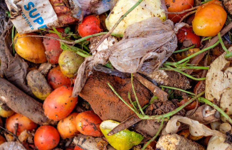 FAO: 60 percent of waste in Ukrainian landfills is food
