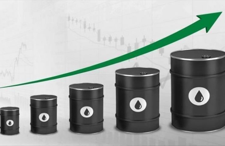 Мировой спрос на нефть в 2022 году вырастет на 3,3 миллиона баррелей в сутки — ОПЕК