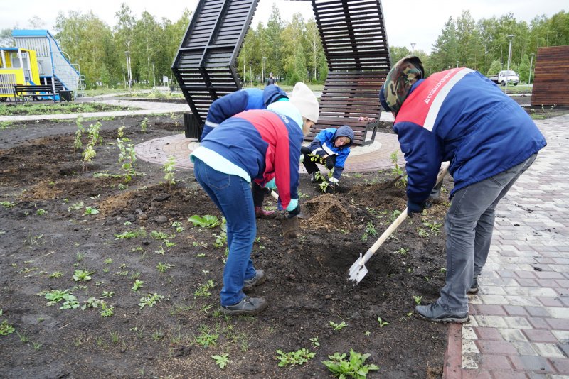 «Кузбассразрезуголь» озеленил парк в поселке Бачатский