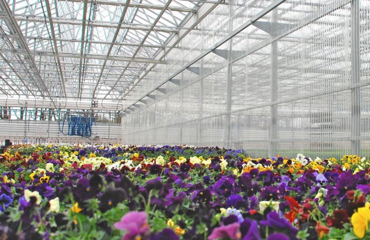 Country greenhouses for honeycomb carbonate or film