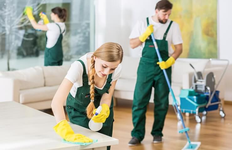 Professional cleaning after renovation