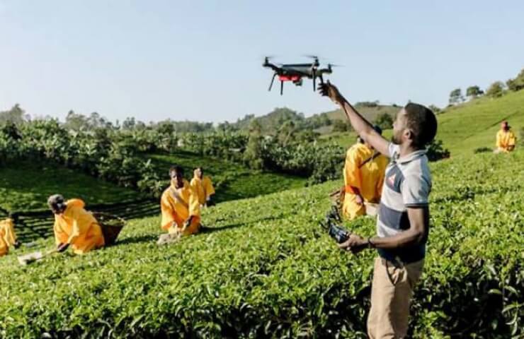 Китай вложил более миллиарда долларов в развитие сельского хозяйства Африки