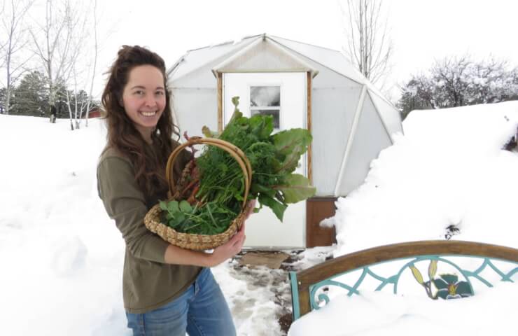 Winter greenhouses from the company "Greenhouse Lux"