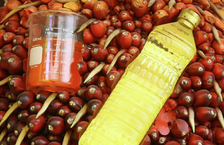 Пальмовое масло купить