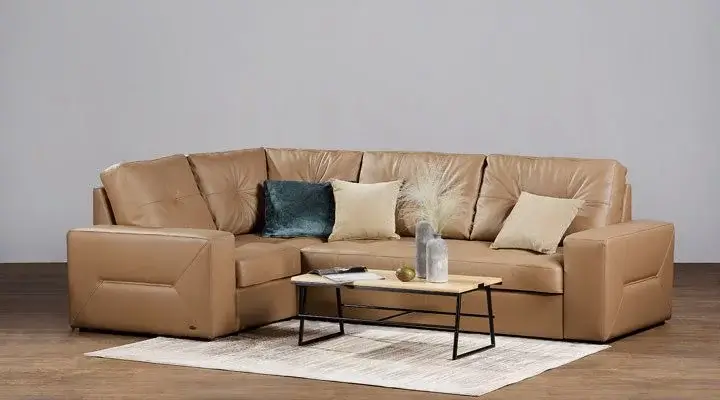 What are the features of the sofa "Dolphin" in Kiev? We take into account the subtleties with Eurodivan