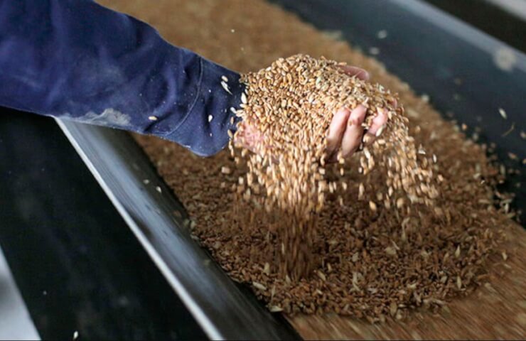 Світові ціни на продовольство злетіли до рекордно високого рівня на тлі російсько-українського конфлікту