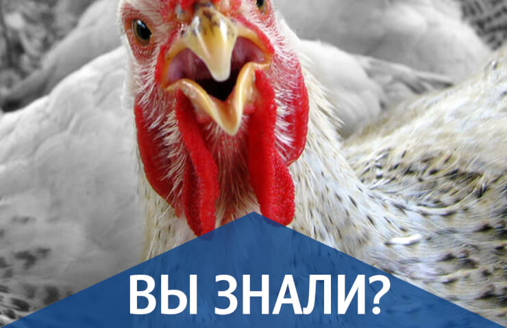 Походження крана кульового