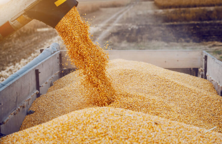 Зернопроводи та зернометачі від виробника