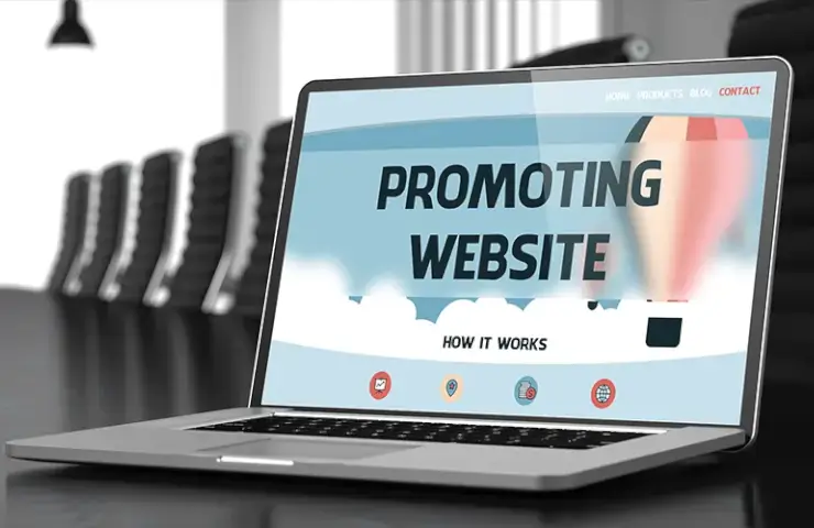 Professional website promotion