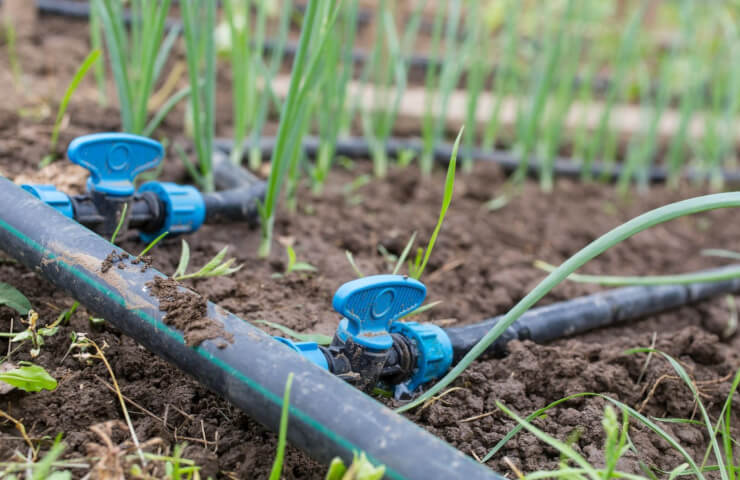 What is needed for drip irrigation