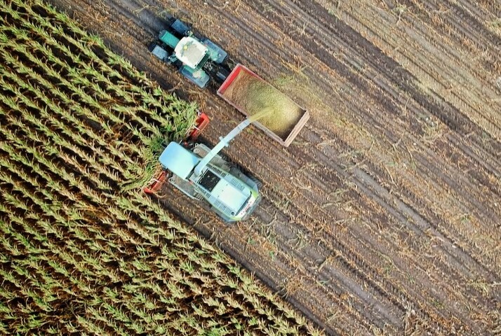 Выгодная закупка кукурузы в Украине