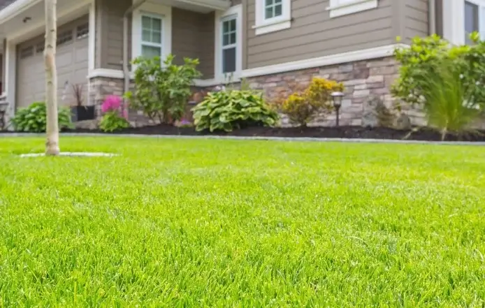 Professional lawn restoration with "Green Doctor": the key to your ideal garden