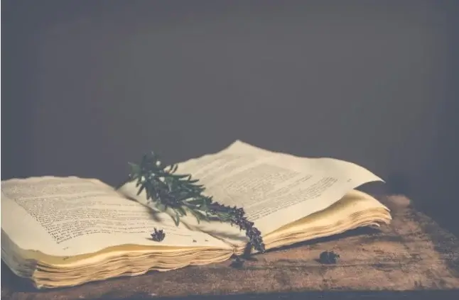 1984: relevance of the novel to the current world