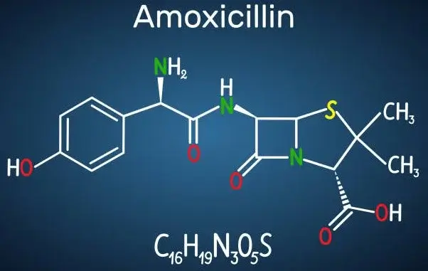 Antibiotic amoxicillin