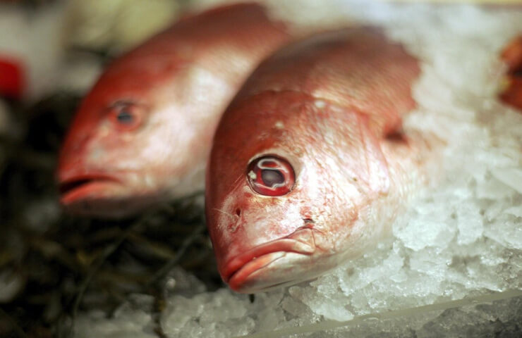 Sale of red fish from the company "Chef Arsenal"