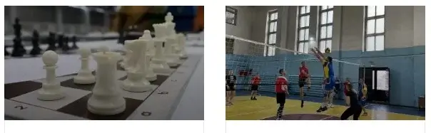 Sports news of the Altai region