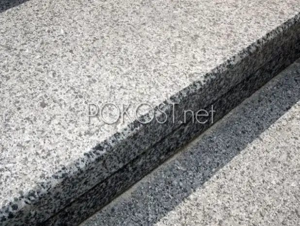 Gray granite - this type, origins in Ukraine