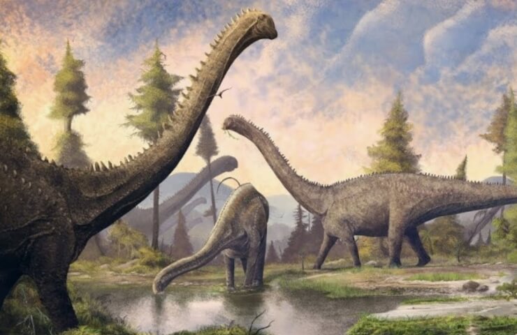 What did diplodocus eat? What did tyrannosaurids eat?