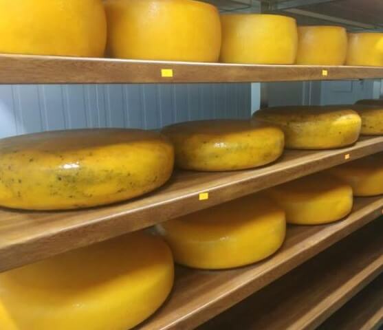 Создание сыроварни под ключ от компании Агро Фрост