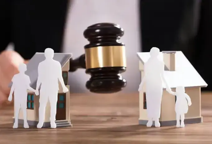 Lawyer for your personal information: professional lawyer and lawyer