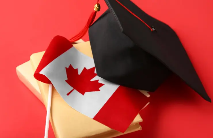 Foundation и Pathway программы: что выбрать студенту без высокого уровня английского?