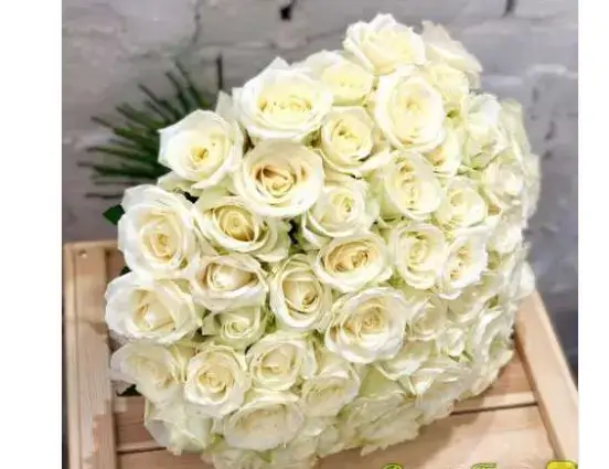 Чорна троянда в Ростові-на-Дону Швидке замовлення і доставка