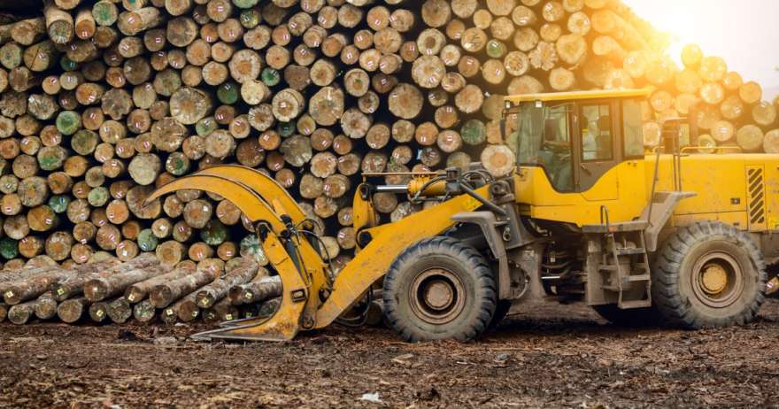 Кабмін України продовжив заборону на експорт лісу та металобрухту до кінця 2026 року