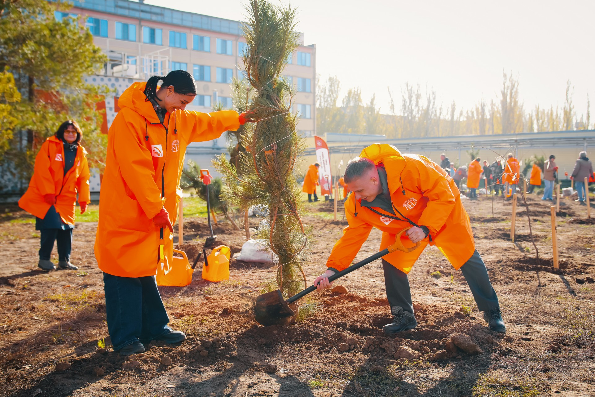 TMK has planted more than 40 thousand seedlings in the regions of its presence as part of a corporate eco-campaign.